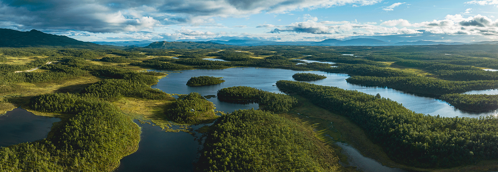 Green forest and blue lakes landscape